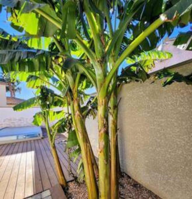 Jolie Maison Jardin Piscine Narbonne Kültér fotó
